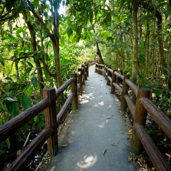 Meet your Posher, Yolanda - Picture 3 of 3